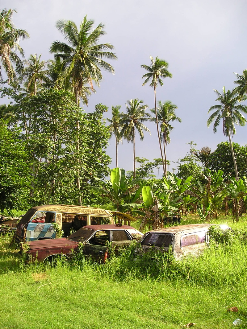 ruined, palm trees, abandoned, grass, tree, palm tree, car, plant, tropical climate, south sea, field, motor vehicle, land vehicle, coconut palm tree, samoa
