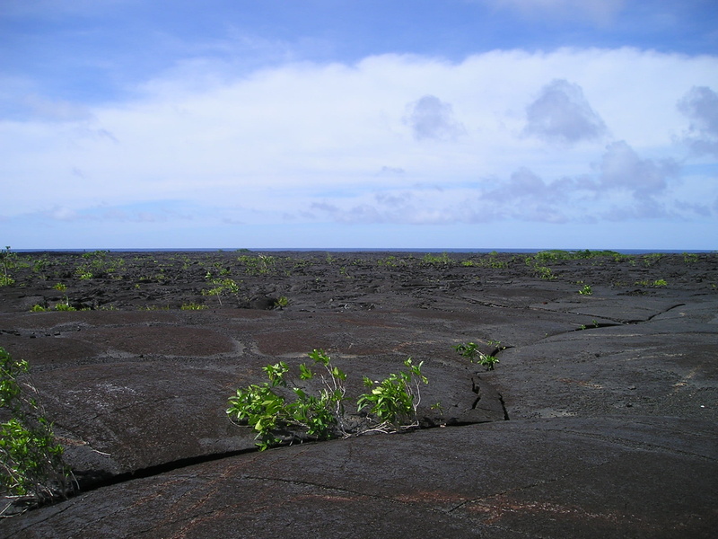 environment, sky, Exotic, outdoors, South Sea, scenics - nature, nature, cloud - sky, Samoa, beauty in nature, 1080P, plant, sea, non-urban scene, scenics