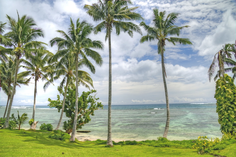 plant, tropical, tranquility, ocean, growth, painting, cloud - sky, outdoors, tropical tree, near, water, palm tree, samoa, palm, tropical climate, tropics
