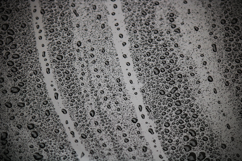 spotted, full frame, bw, moist, surface, textured, water, abstract, textured Effect, indoors, shiny, drops, rain, 5K, dew, day, soap sud, wet, rainy season