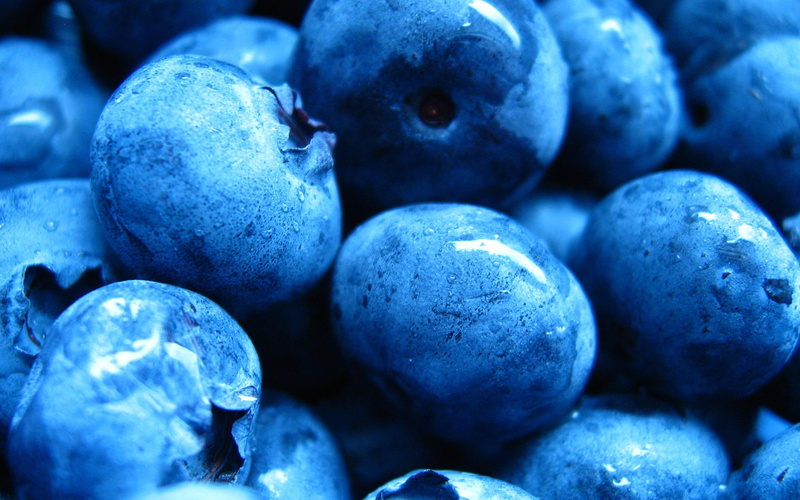 still life, ripe, berry fruit, fruit, food and drink, full frame, food, season, macro, healthy Eating, indoors, blue, dark, berrylot, selective focus, wellbeing