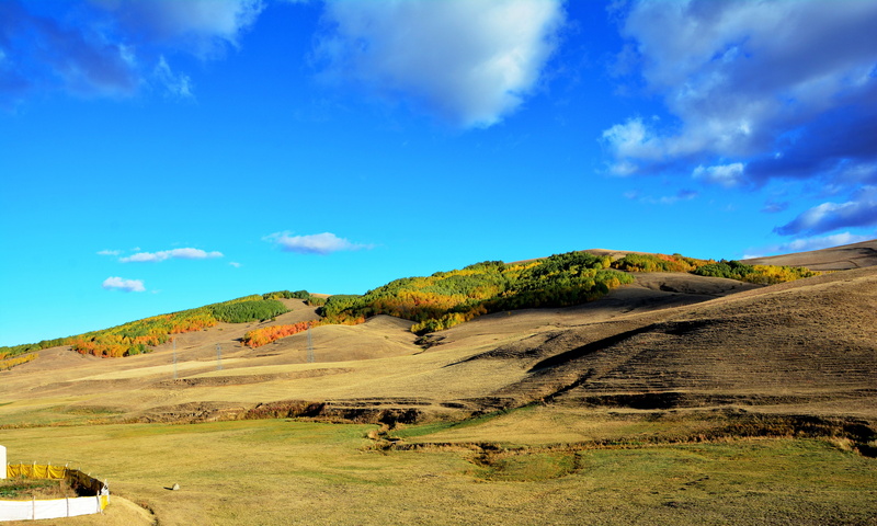 virgo, yellow leaves, forest, background, hazan, autumn, cloud - sky, beautiful, 5K, dried up, turkey, non-urban scene, green, rural scene, tranquil scene
