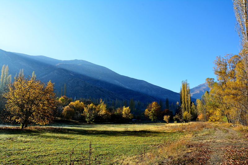environment, coruh river, virgo, coniferous tree, slope, peace, mountain, river, current season, vivid color, leaves, beauty in nature, season, plant cover