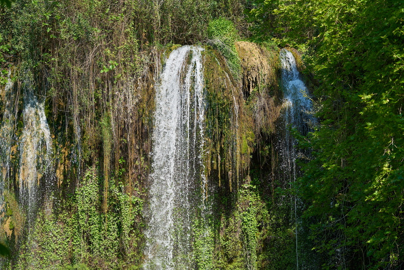 rainforest, environmental, outdoors, 8K, tree, non-urban scene, plant, power in nature, river, waterfall, long exposure, day, dd, drop, scene, trees, forest