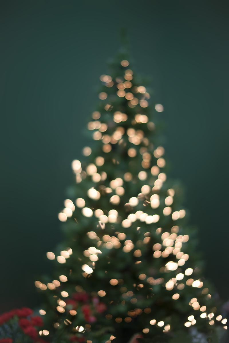 tree, illuminated, reunion, glowing, string, christmas, light, christmas lights, decoration, lighting equipment, plant, christmas decoration, 5K, green