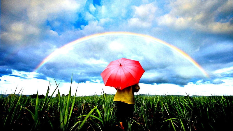 Little Girl, Umbrella, Earth, 1080P, Grass, Rainbow, Field