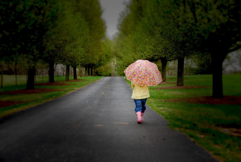 umbrella, nature, lonely, child, 2K, trees, sadness, children, little girl, childhood, road