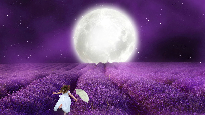 little girl, lavender pod, 2K, night, umbrella, The moon, white dress