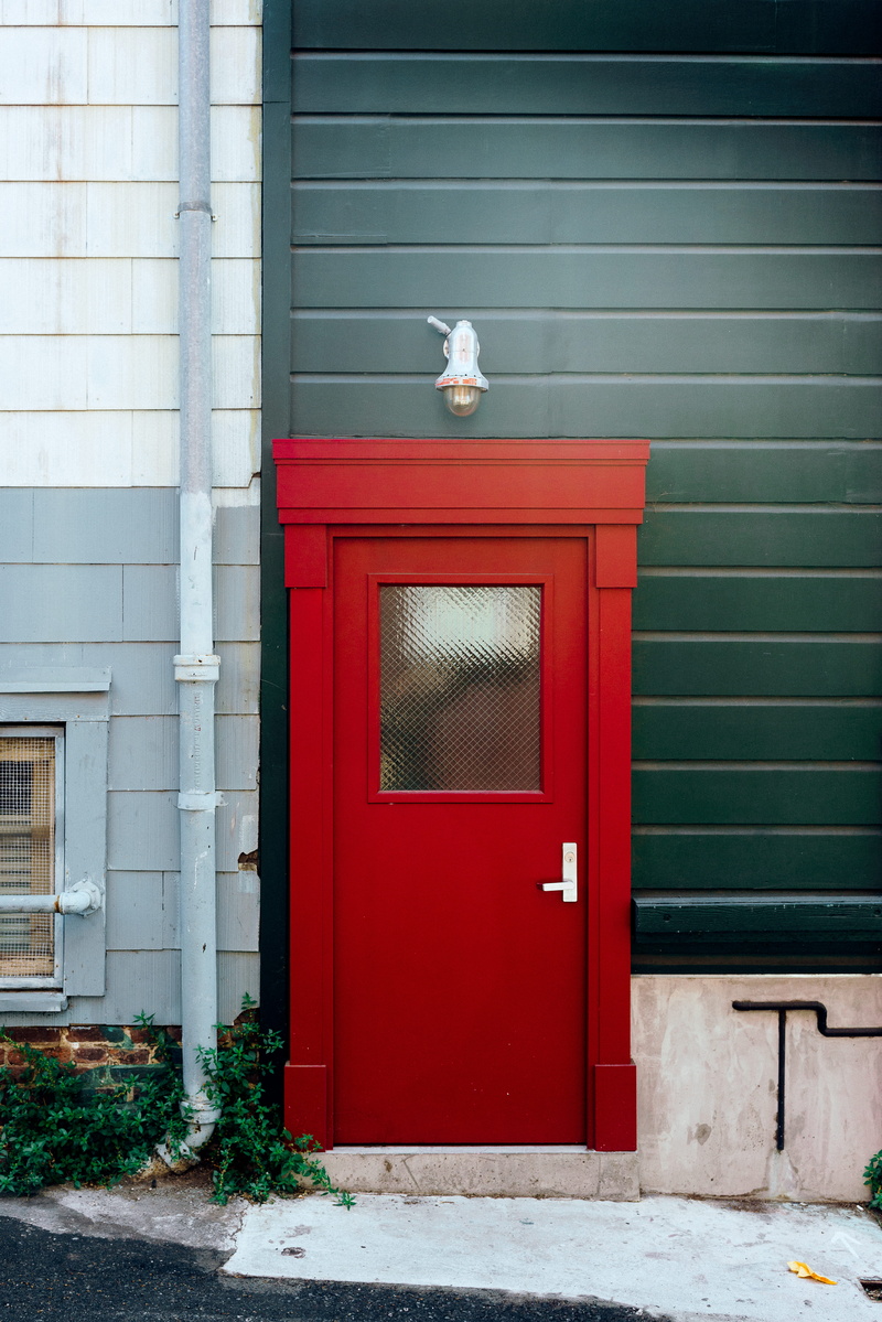 architecture, closed, secure, one animal, building, sidedoor, security, house, concrete, wooden, animal themes, window, animal, wall - building feature