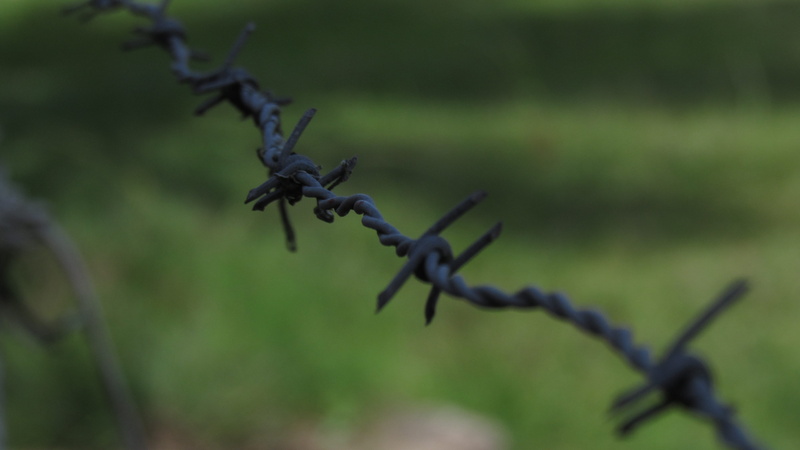 outdoors, exclusion, protection, green, safety, spiked, fance, barbed wire, security, day, fence, focus on foreground, jureia, boundary, no people, metal