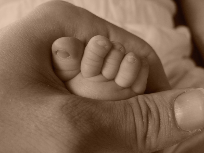 large, anger, children, human limb, care, selective focus, innocence, child, small, person, holding, feet, cohesion, communication, newborn, new life, body part