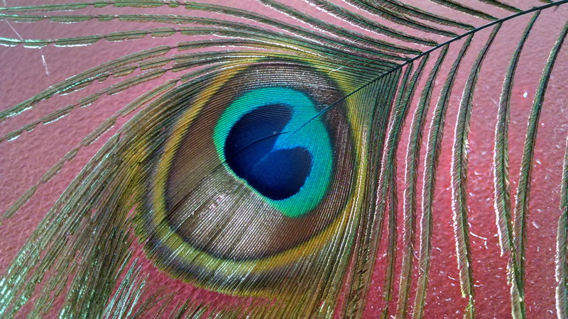 bird, full frame, close-up, animal themes, softness, pattern, textured, high angle view, green color, 4K, no people, purple, peacock, backgrounds, vulnerability