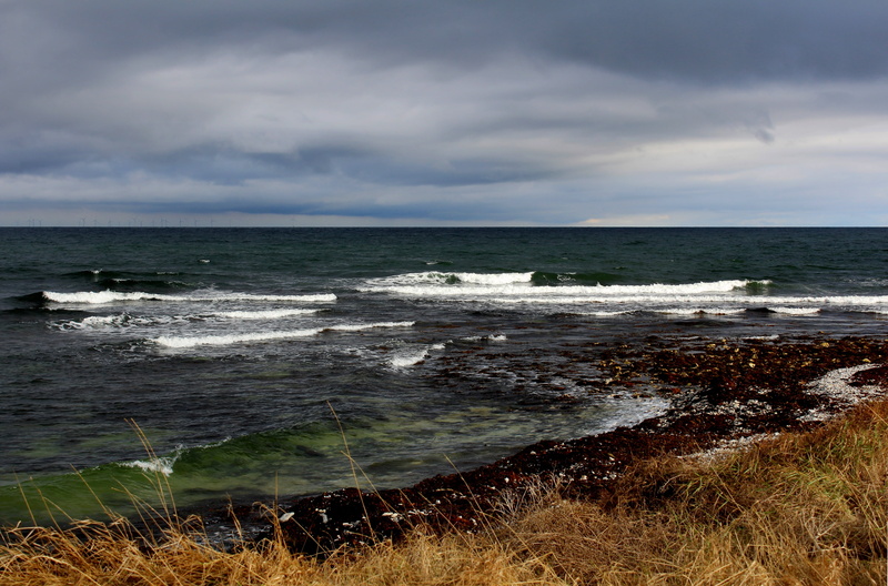 no people, 5K, beach, beauty in nature, power in nature, sport, cloud - sky, coastline, motion, tranquility, water, aquatic sport, nature, scenics - nature