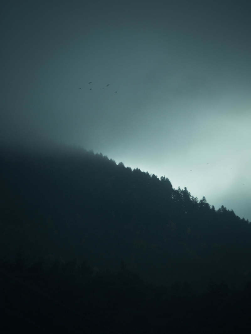 4K, fog, non-urban scene, landscape, beauty in nature, tree, creepy,, background hd, environment, landscapes, corrençon-en-vercors, mountain