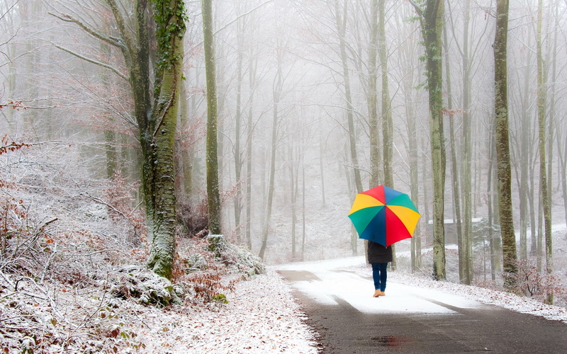 the way forward, winter, warm clothing, land, 720P, caucasian Ethnicity, snow, rear View, security, woodland, autumn, protection, weather, people, outdoors