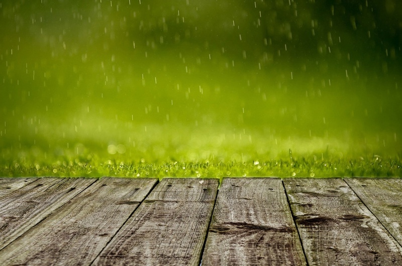 field, green color, defocus, design, light, rain, summer, weather, nature, wet, meadow, selective, land, footpath, plant, wood - material, grasses