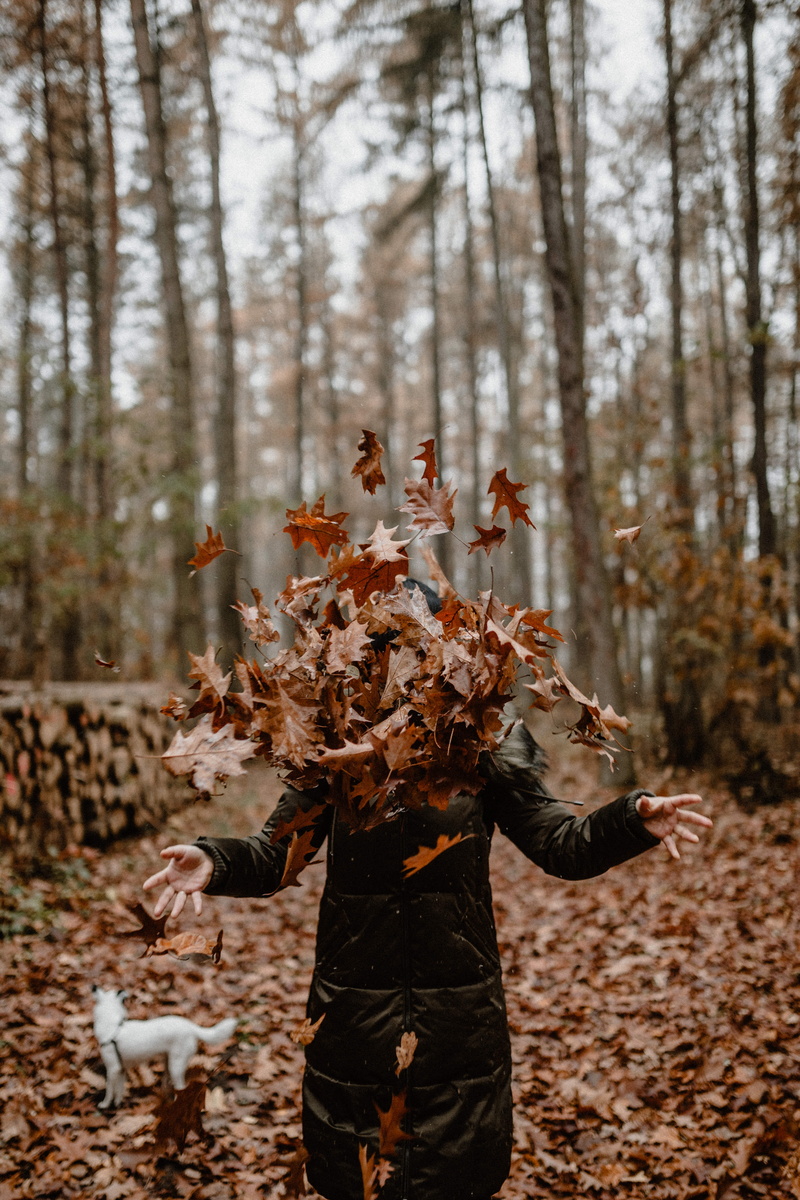 three quarter length, throwing, foggy, day, walk, plant, forest, change, 5K, field, nature, november, real people, arms raised, women, young adult, weather
