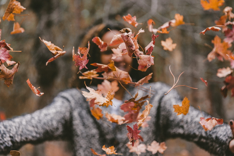 plant part, autumn, woman, 5K, leaves, autumn collection, outdoors, close-up, tree, day, growth, beauty in nature, change, maple leaf, orange color, leaf