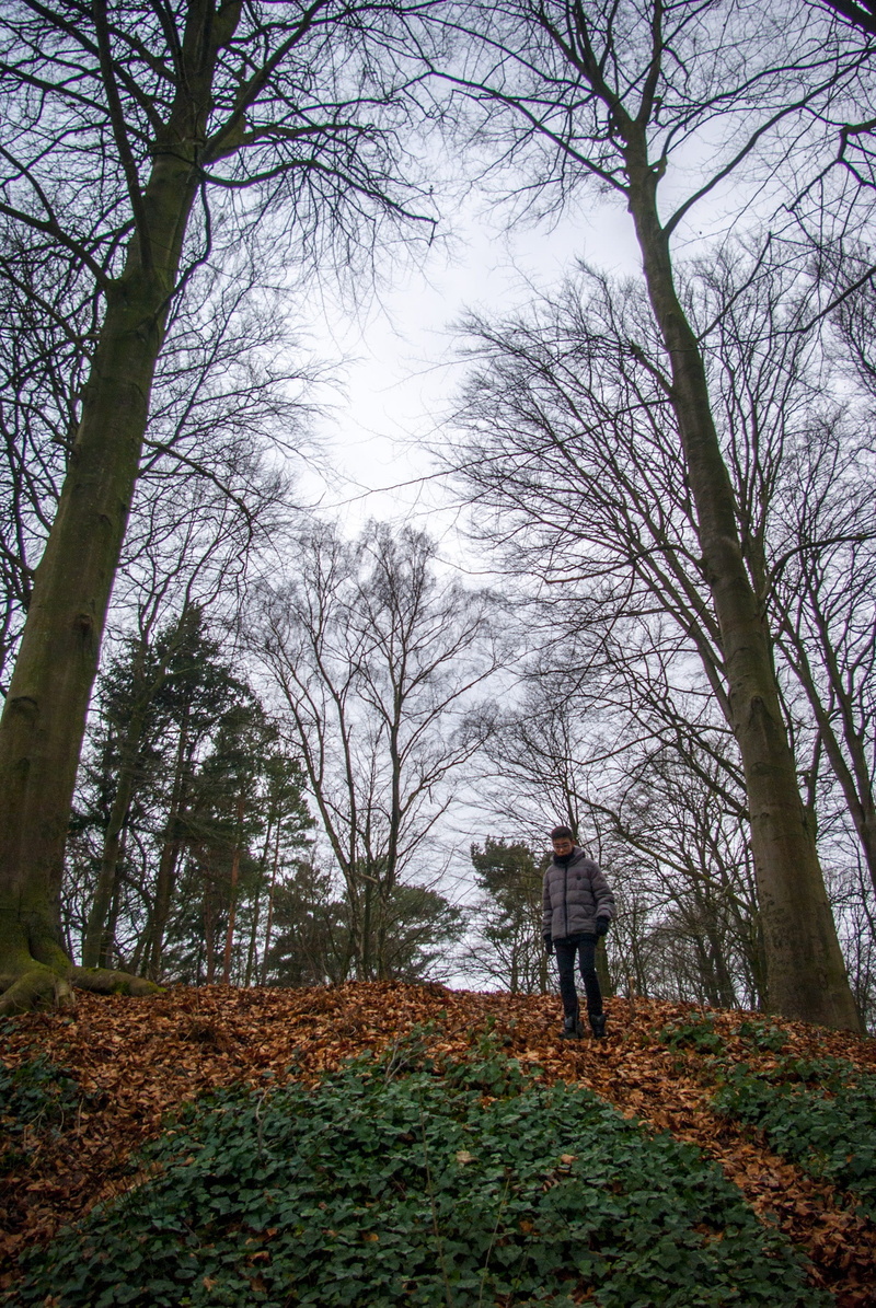 scenics - nature, sky, trunk, real people, watercolor, Forest, outdoors, tranquility, Lost, tree, beauty in nature, Leaves, day, carpet leaves, woodland