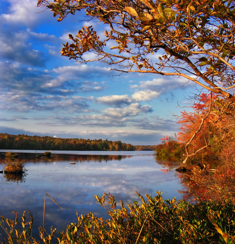 trees, Pennsylvania, scenics, 2K, water, deciduous, Poconos, sky, season, landscape, tree, Lake, forest, Tobyhanna State Park, reflection, creative commons