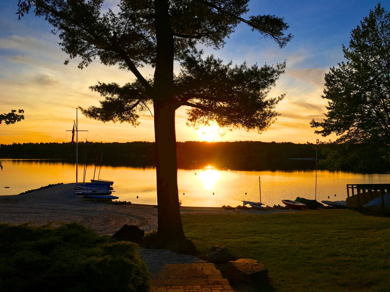 plant, 4K, silhouette, scenics - nature, Beach, transportation, Lake Naomi, moored, evening, sky, scenics, cloud - sky, beach sunset, tree, water, no people