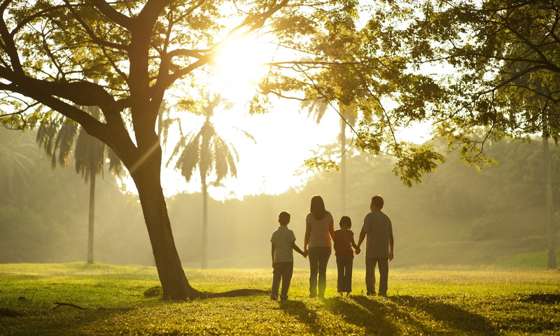togetherness, outdoors, summer, sun, silhouette, females, kids, childhood, adult, happiness, friendship, park - Man Made Space, growth, background