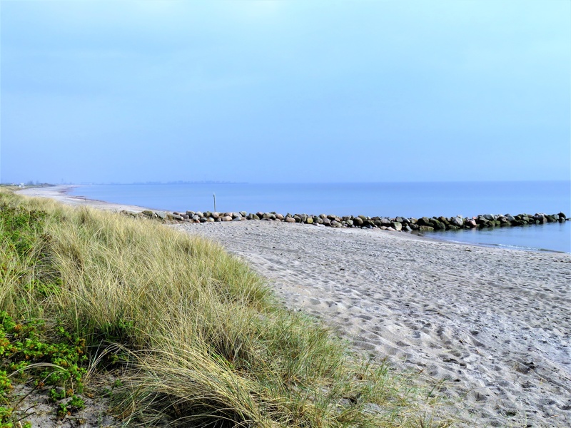 water, swim, hiking, mecklenburg, sand beach, beach, grass, horizon over water, recover, tranquility, coast, plant, marram grass, land, scenics - nature