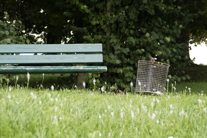no people, green, lonely, plant, tranquility, loneliness, growth, go for a walk, grass, park - man made space, forest, park bench, walk, green color, park