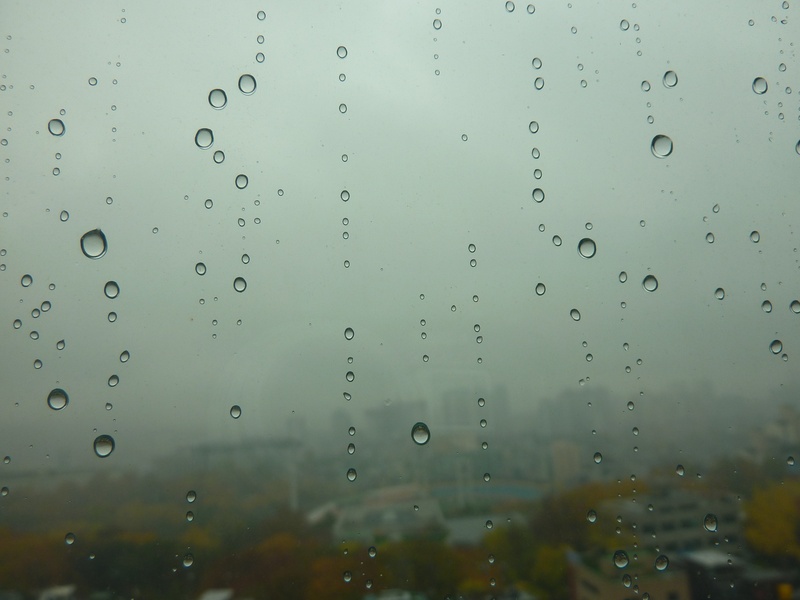 backgrounds, 2K, water, outdoors, trickle, raindrop, drop, day, no people, glass - material, focus on foreground, rain, wet, close-up, rainy season, nature