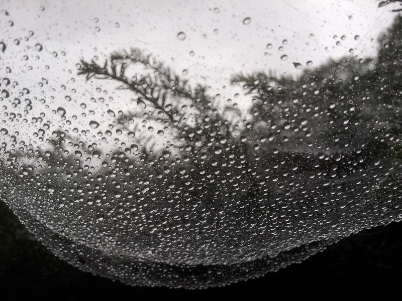 water, vehicle interior, weather, rainy season, raindrop, glass - Material, another world, non, rain, backgrounds, close-up, abstract, transparent, drop