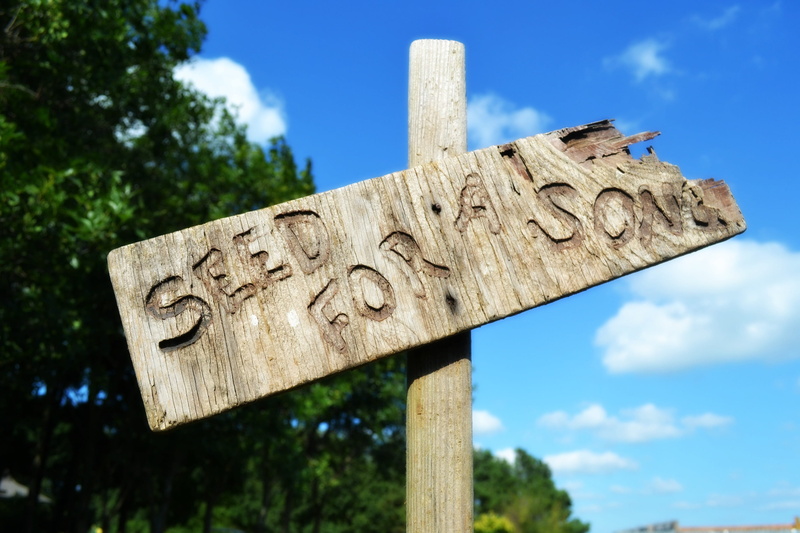 wooden post, guidance, planting, outdoors, branch, song, farmers market, western script, wood - material, vegetables, cloud - sky, sign, trade, landscape