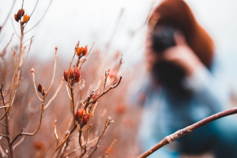 bird, selective, photographing, outdoors, photography themes, communication, holding, produce, finger, mobile phone, wireless technology, plant, 5K, bud