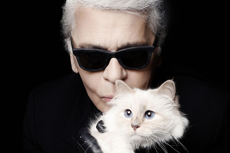 men, cat supect (" Cabbage"), glasses, 1080P, black - white - blue, look, black background, Karl Lagerfeld - fashion designer, German fashion designer