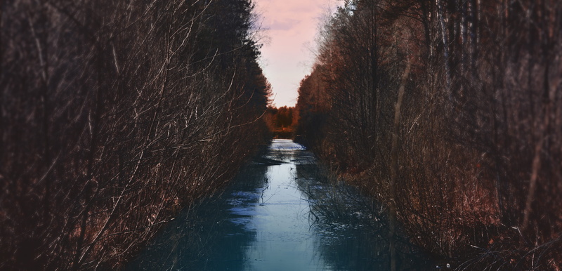 treelined, no people, nature, reflection, vanishing point, calm, built structure, lawn, grass, river, alley, autumn, plant, the way forward, chanel, ditch