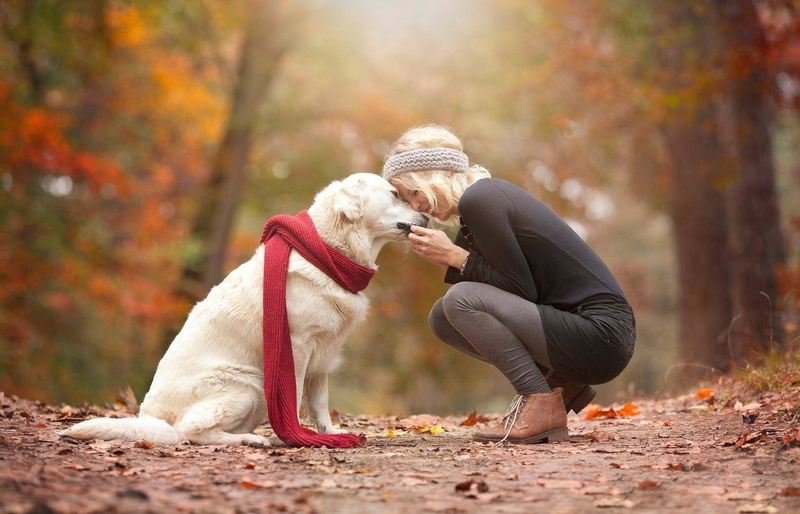puppy, clothing, animal, small, nature, long, women, short, dog, domestic Animals, outdoors, tree, coated, domestic, enjoyment, embracing, park - Man Made Space