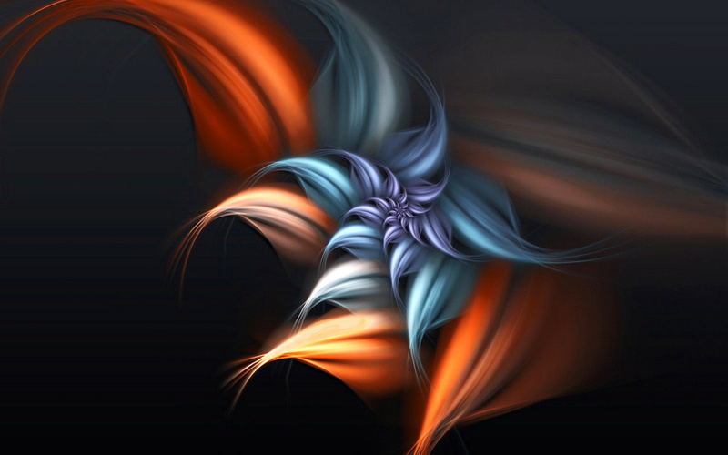 petals, 1080P, undertones, fantasy, flower