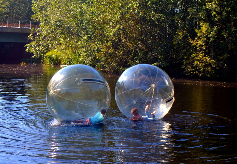 boy, day, crystal ball, plant, scenics - nature, play, large, group of animals, floating on water, sphere, vertebrate, Game, waterfront, inflatable, reflection