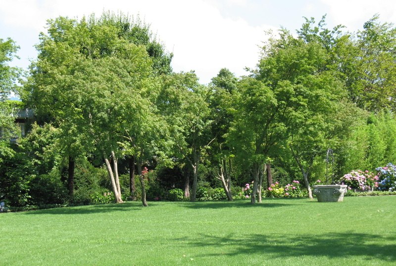 shadow, outdoors, landscape, lawn, plant, rapperswil, formal Garden, field, enea garden, trees, sky, summer, park - Man Made Space, 2K, nature, tree, sunlight