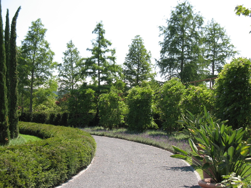 garden, direction, sky, growth, enea garden, 2K, plant, trees, walk, green, beauty in nature, landscape, hedge, tree, scenics - nature, tranquility, garden path