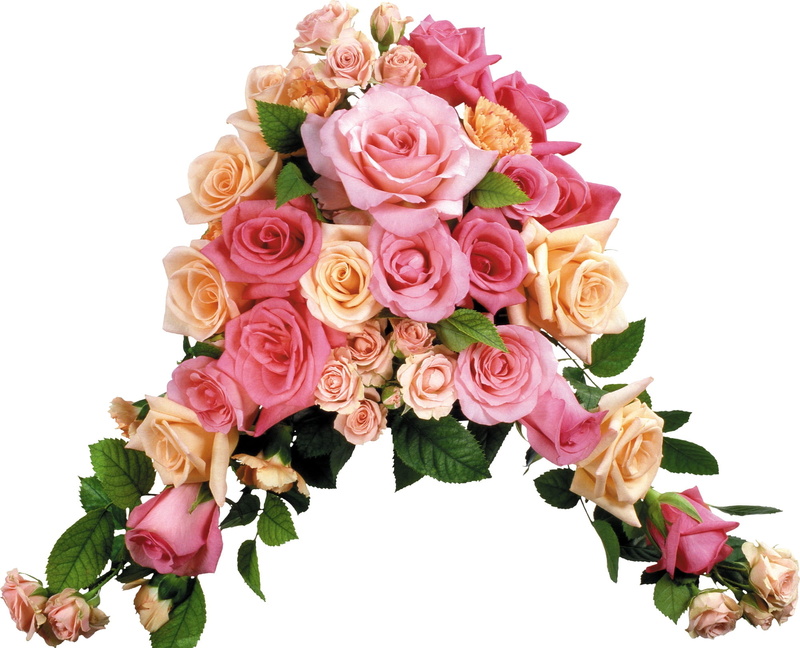love, white, summer, multi Colored, bouquet, rose, red, fragility, decoration, cut out, gift, wedding, freshness, leaves, roses, flowering plant, birthday