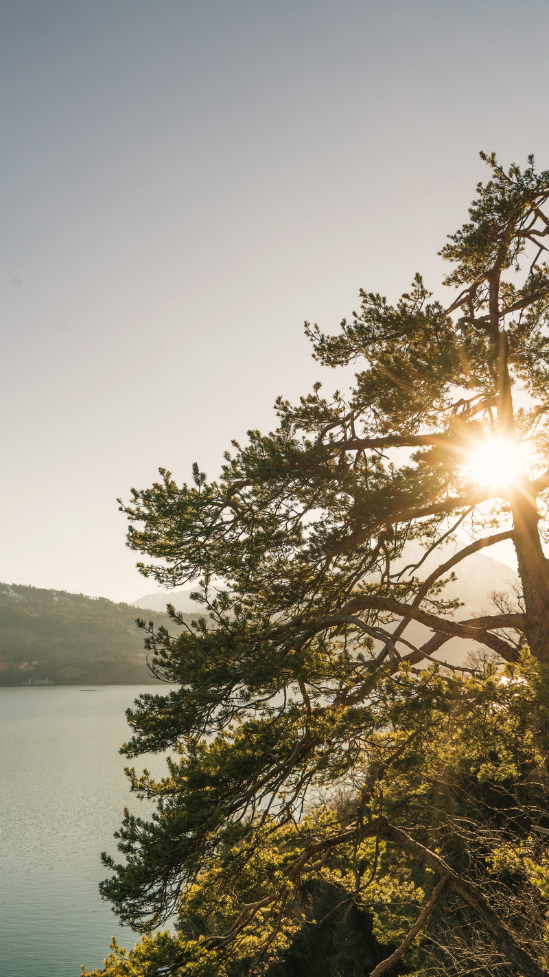 sun, no people, springsun, clear sky, outdoors, sunbeam, spring, summer, plant, springtime, holiday, lens flare, pure, swisslake, water, frontlighting