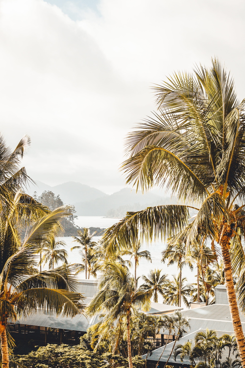 sunlight, botanical, tourist Resort, mountain, landscape, tree, scenics, sun, day, cloud - Sky, tropical, journey, vibe, blue, ocean, tropical Climate