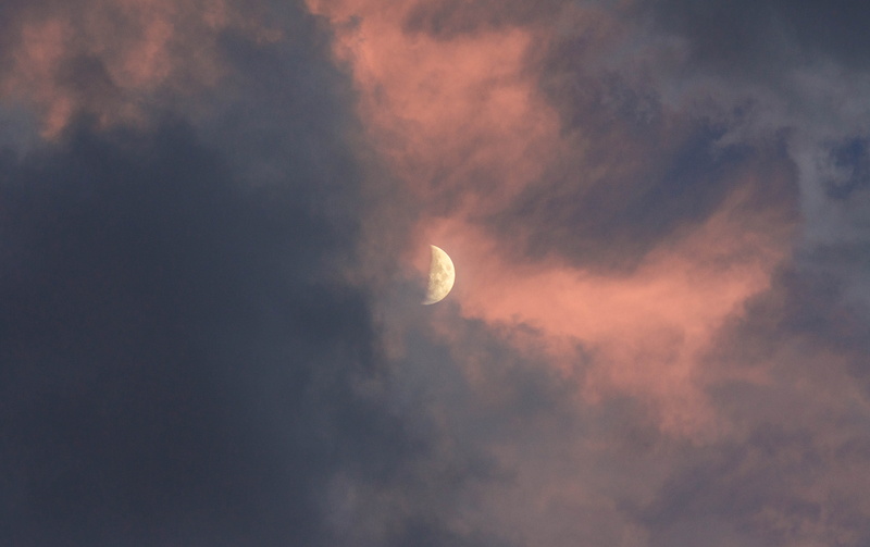 cloudscape, day, night, overcast, climate, clouds, space, beauty In Nature, blue, sun, crescent, weather, bright, no People, summer, scenics, moon, forest