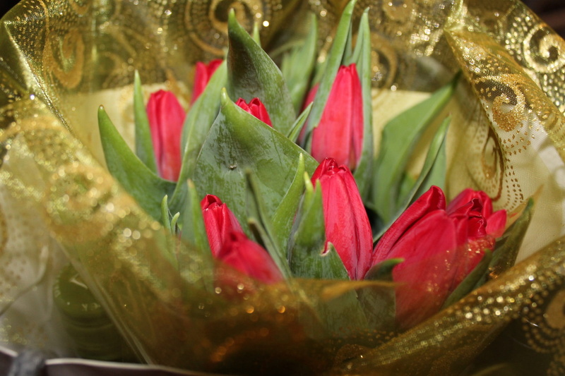 flower head, water, drop, good luck, freshness, green color, leaf, 1080P, flower arrangement, no people, indoors, fragility, petal, vulnerability, selective focus