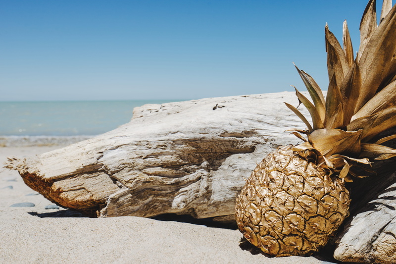 vacation, fruit, beside, ocean, no People, sky, horizon, rock - object, beach, nature, sea, clear sky, near, sunlight, winter, tropical Climate, tranquility