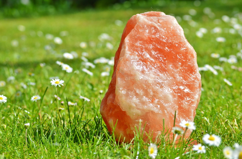 meadow, rock salt, growth, salt lamp, stone, salt, food, plant, springtime, grass, salt rock, beauty in nature, land, salt stone, wellbeing, no people