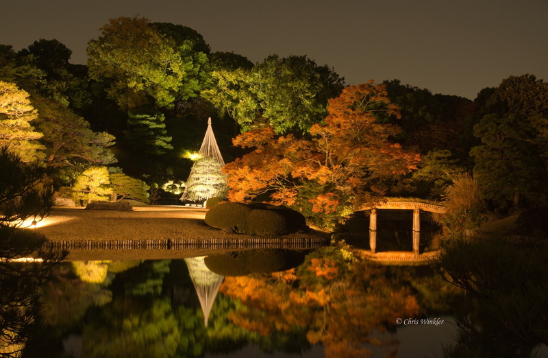 Alpha, night, Garden, Japan, Leaves, sonyalphadslr, Sony, rikugien, Tokyo, Japanese, 1080P, autofocus, Asia, Landscape, Autumn