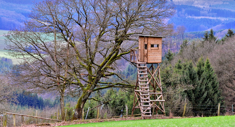 building exterior, architecture, hill, trees, outdoors, luxembourg, wood - material, bird hut, 5K, day, building, observation post, grass, built structure