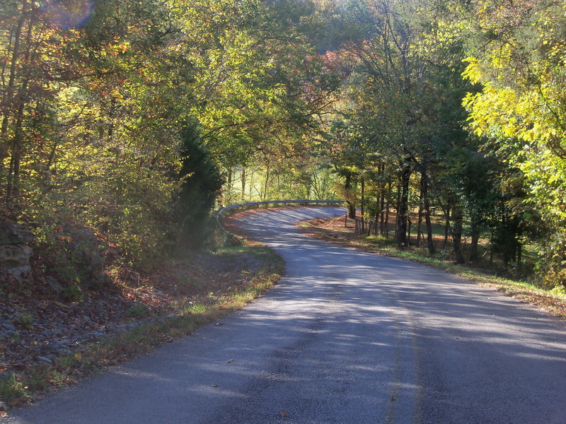 rural, going, autumn, nature, hill, road, 2K