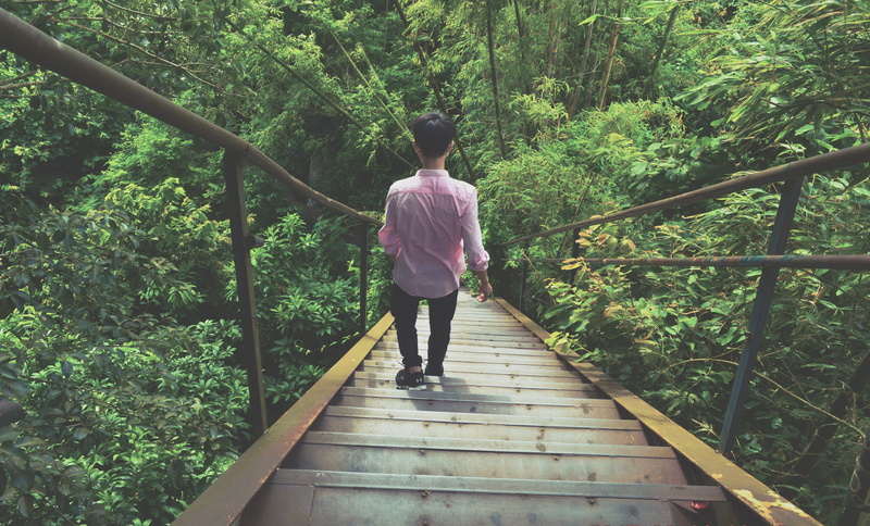 stairs, landscape, shirt, 5K, adventure, casual clothing, pathway, plant, road, scenic, forest, day, land, hike, real people, going down, nature, hiking
